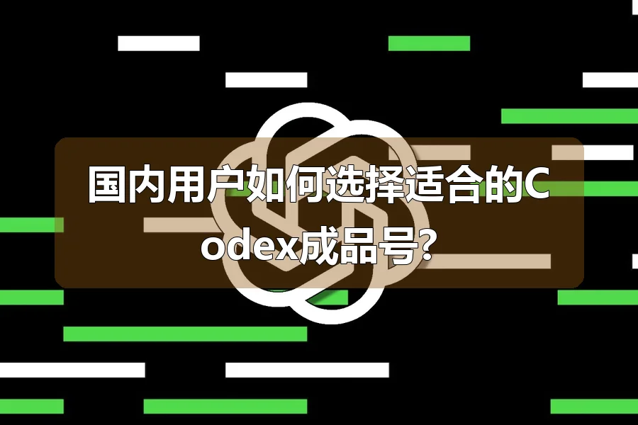 国内用户如何选择适合的Codex成品号?