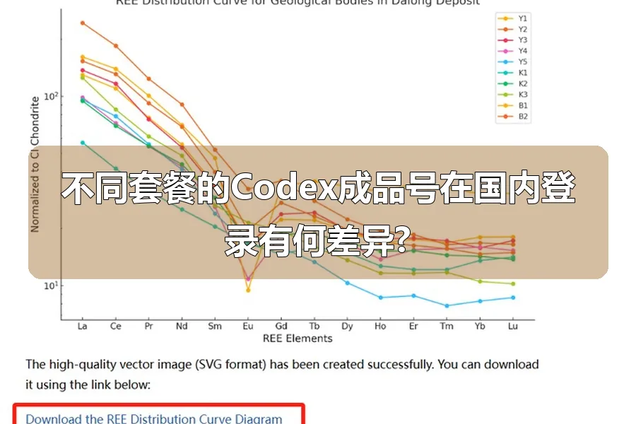 不同套餐的Codex成品号在国内登录有何差异?